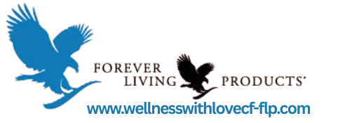 foundation 5 removebg preview(1)